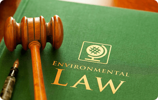 Environmental Law Violations