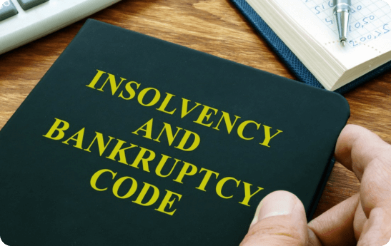 Insolvency And Bankruptcy Cases