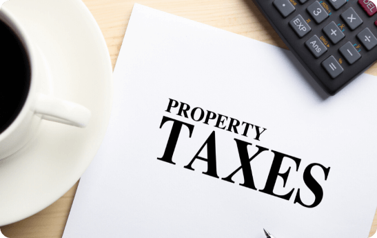 Property Tax Issues